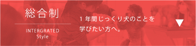 総合制。１年間、じっくり犬のことを学びたい方へ。