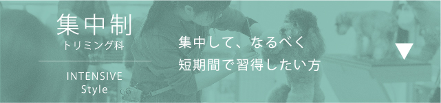 集中制（トリミング科）。集中して、なるべく短期間で習得したい方へ。